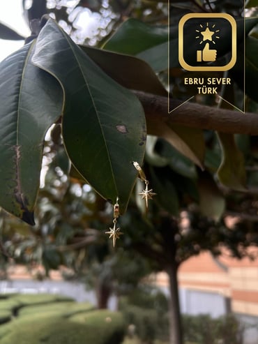 Altın Kutup Yıldızı Küpe Altın Kutup Yıldızı Küpe